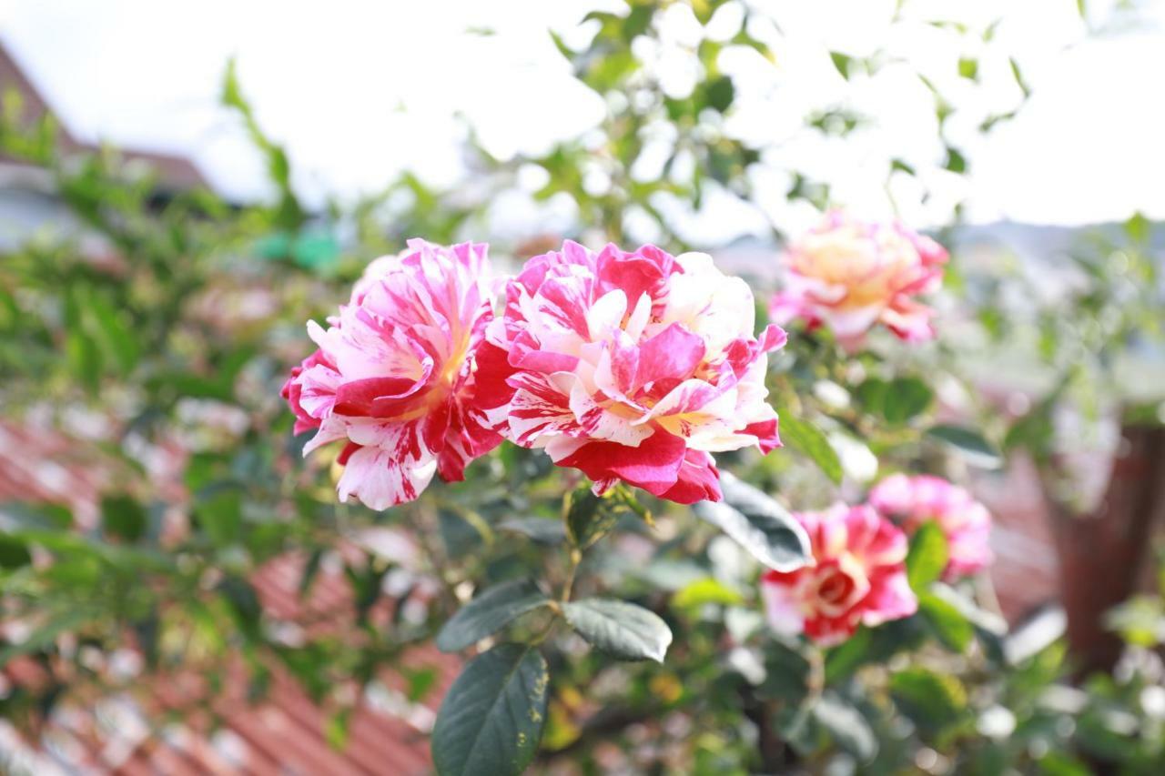 Homestay Doc Tinh Da Lat Exterior photo
